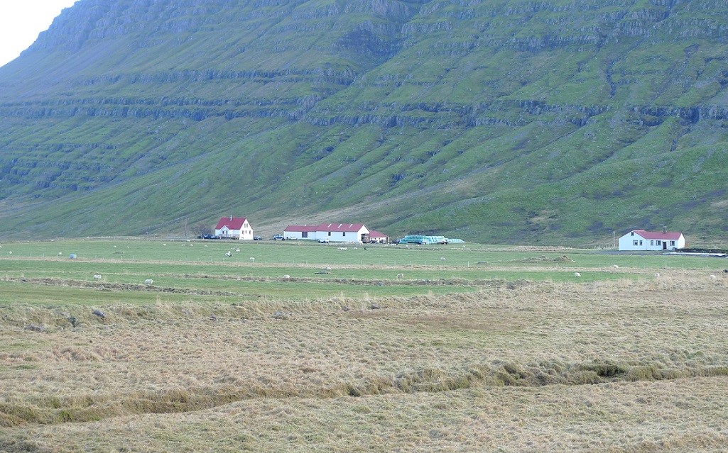 Umhverfisviðurkenning Fjarðabyggðar 2016