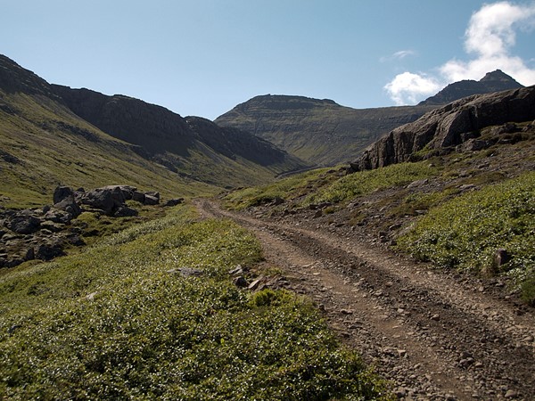 Niðurgreiðslur vegna húshitunar