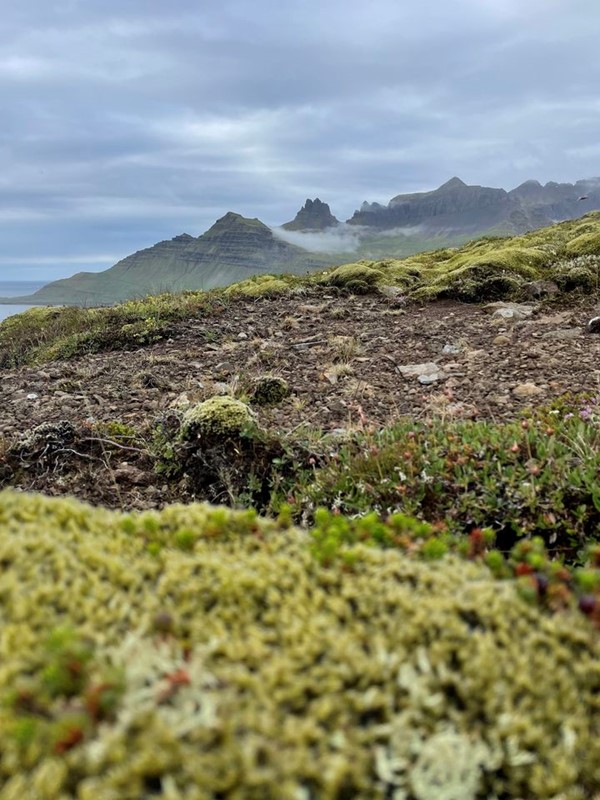 Jógaganga á Stöðvarfirði