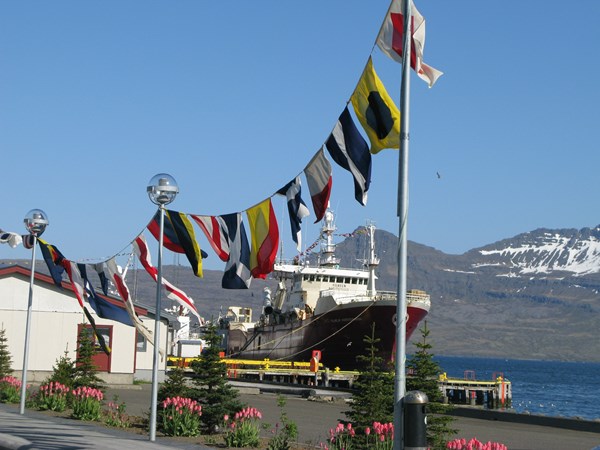 Sjómannadagshátíðarhöldin hefjast í dag