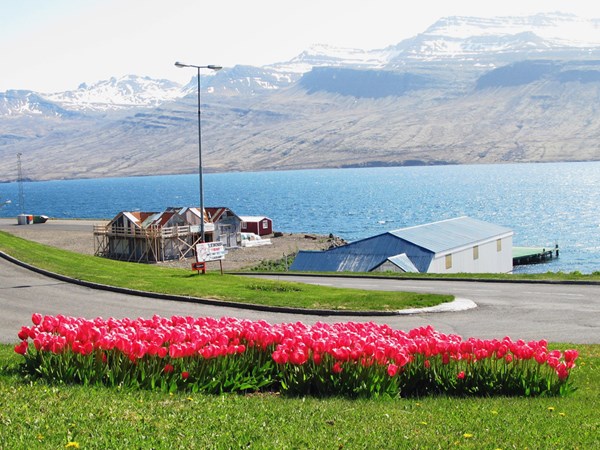 Opnað fyrir umsóknir um sumarstörf og vinnuskóla 2017