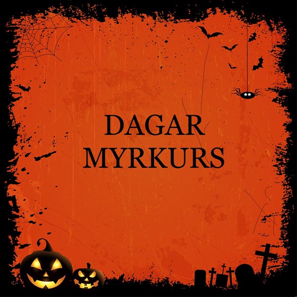 Dagar myrkurs í Fjarðabyggð Dagar myrkurs í Fjarðabyggð