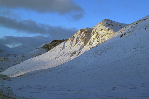 Almenningssamgöngur falla niður að minnsta kosti fram að hádegi mánudaginn 7.febrúar