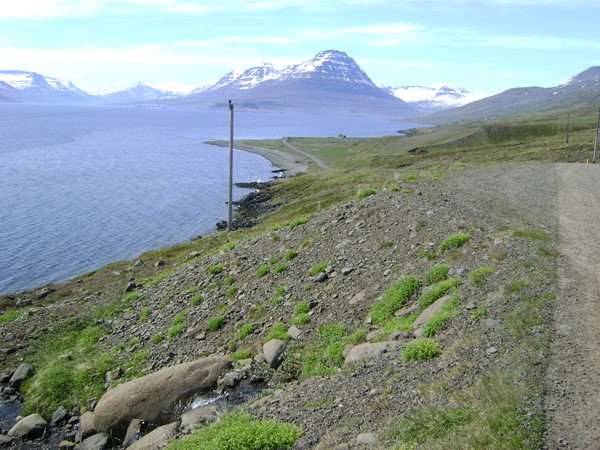 Helgustaðavegur lokaður vegna aurskriðu