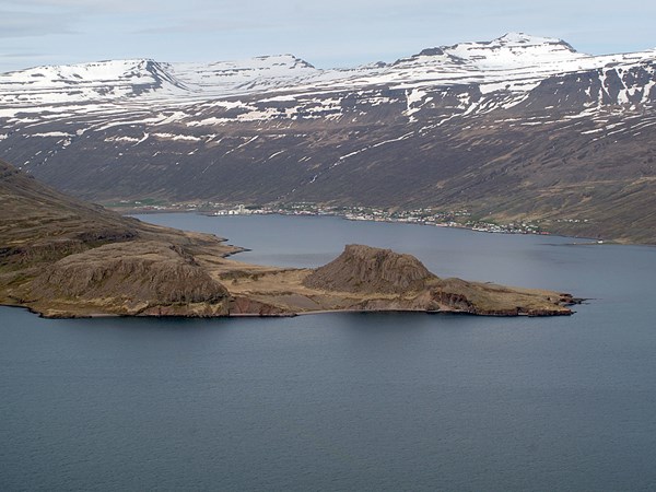 Viltu vera stuðningsaðili?