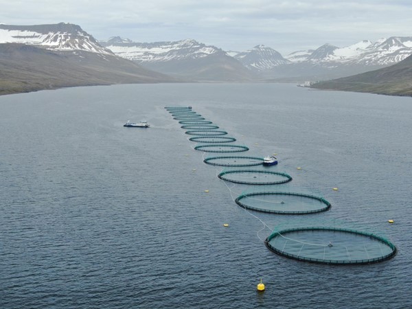 Mælaborð fiskeldis Mælaborð fiskeldis