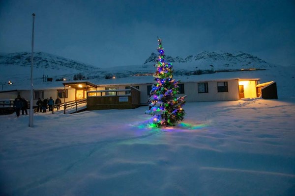 Ljósin tendruð á jólatrjánum í Fjarðabyggð