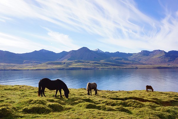 Besta hlið Íslands