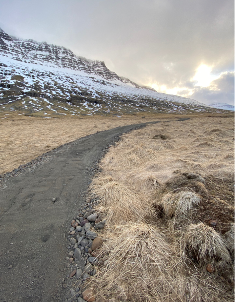 Stígagerð á Eskifirði