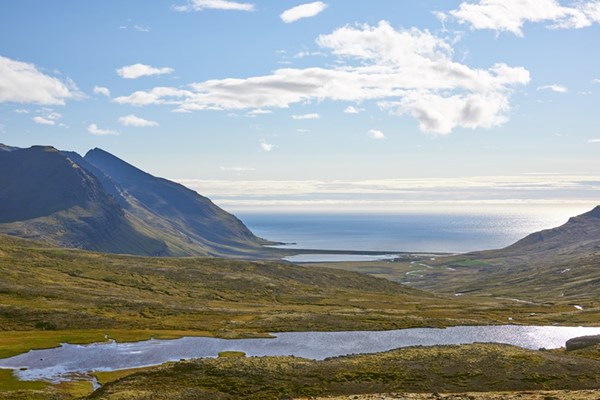 Tillaga að friðlýsingu Barðsnessvæðisins