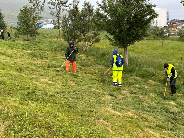 Bæjarstjóri heimsækir nemendur í vinnuskólanum í Fjarðabyggð