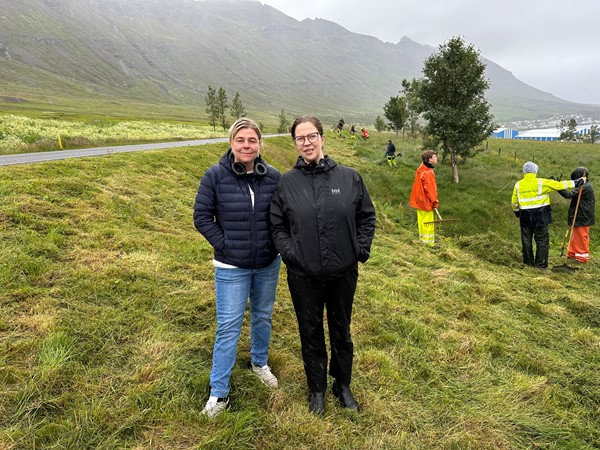 Bæjarstjóri heimsækir nemendur í vinnuskólanum í Fjarðabyggð