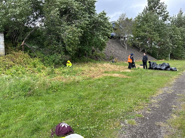 Bæjarstjóri heimsækir nemendur í vinnuskólanum í Fjarðabyggð