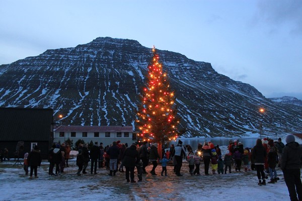 Tendrun jólatrjáa í Fjarðabyggð 2020