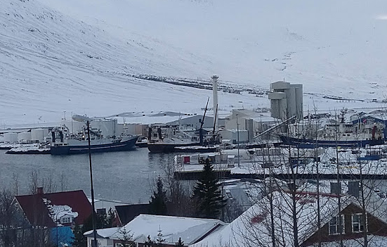 Loðnu landað við hafnir Fjarðabyggðar Loðnu landað við hafnir Fjarðabyggðar
