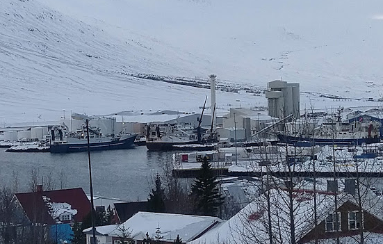 Loðnu landað við hafnir Fjarðabyggðar