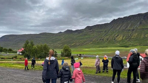 Starfsmaður í liðveislu