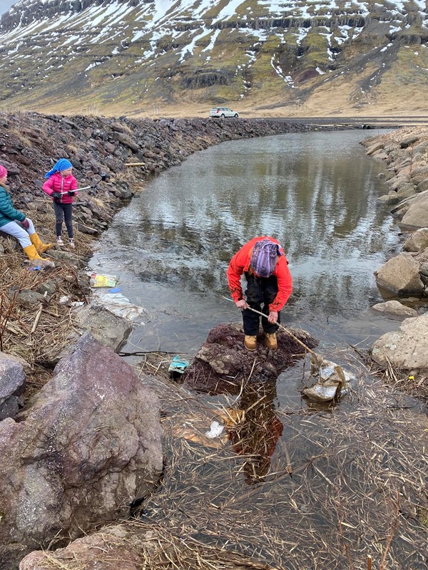 Stóri plokk dagurinn í Fjarðabyggð 2020 Stóri plokk dagurinn í Fjarðabyggð 2020