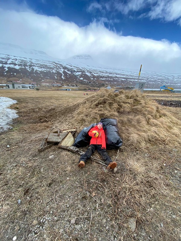 Stóri plokk dagurinn í Fjarðabyggð 2020