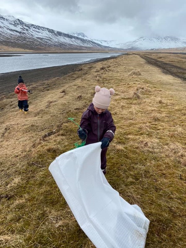 Stóri plokk dagurinn í Fjarðabyggð 2020