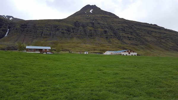 Umhverfisverðlaun Fjarðabyggðar 2017 afhent