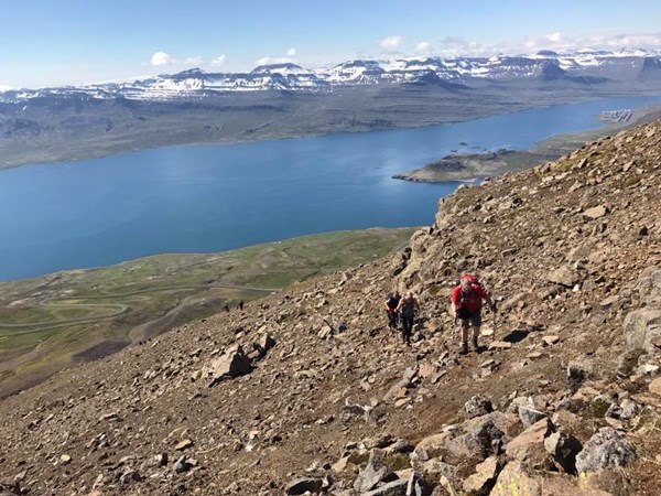 Á fætur í Fjarðabyggð 2017