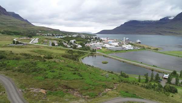 Fjárhagsáætlun Fjarðabyggðar samþykkt í bæjarstjórn
