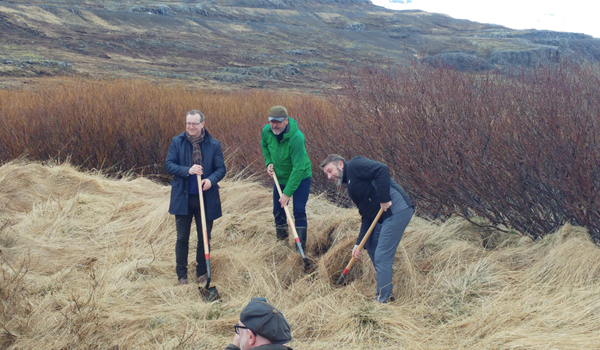 Endurheimt votlendis í Fjarðabyggð